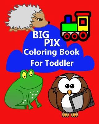 Book cover for Big Pix Coloring Book for Toddler