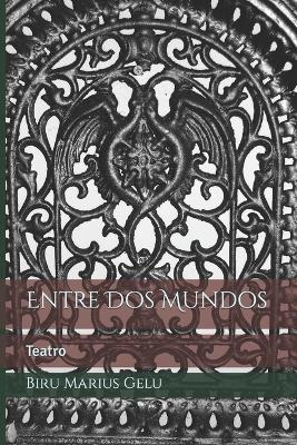 Book cover for Entre Dos Mundos