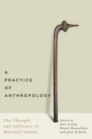 Cover of A Practice of Anthropology