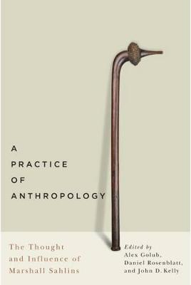 Book cover for A Practice of Anthropology