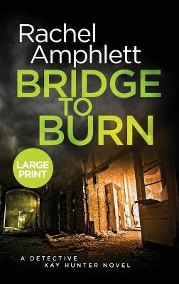 Book cover for Bridge to Burn
