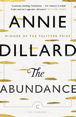 Book cover for The Abundance