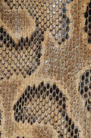 Cover of Snakeskin Pattern 1, Jumbo Oversized