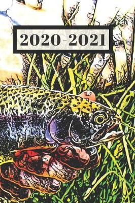 Book cover for Black Trim Rainbow Trout Fish Dated Calendar Planner 2 years To-Do Lists, Tasks, Notes Appointments Book