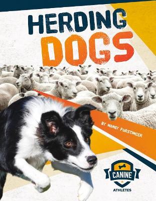 Book cover for Herding Dogs