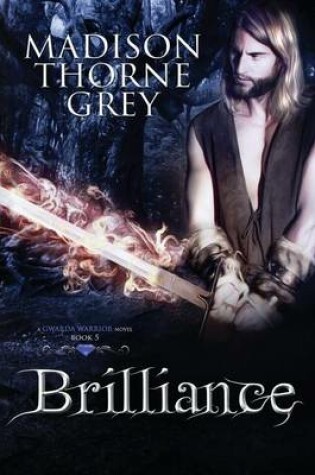 Cover of Brilliance