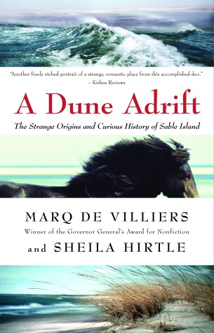 Cover of A Dune Adrift