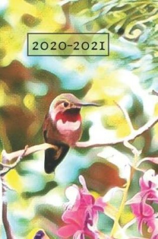 Cover of Green Hummingbird Lover's Ruby Red Throated Garden bird Dated Weekly 2 year Calendar Planner