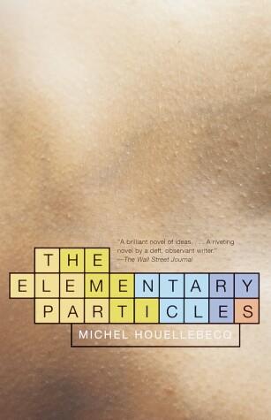 The Elementary Particles by Houellebecq Michel