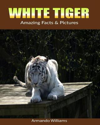 Book cover for White Tiger