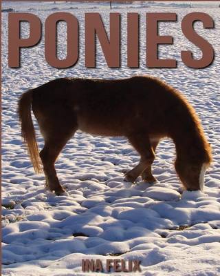 Book cover for Ponies