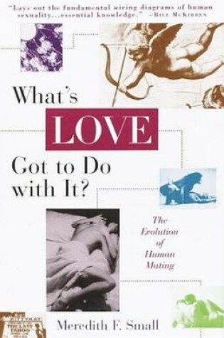 Cover of What's Love Got to Do with It?