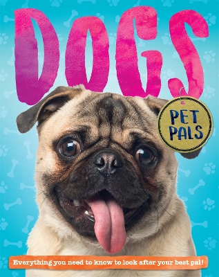 Book cover for Pet Pals: Dog