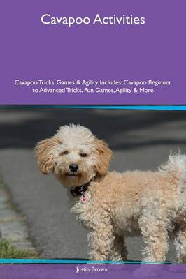 Book cover for Cavapoo Activities Cavapoo Tricks, Games & Agility Includes