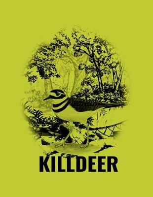 Book cover for Killdeer