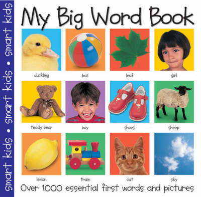 Book cover for My Big Word Book