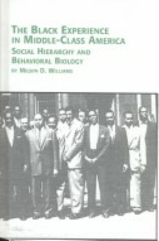 Cover of The Black Experience in Middle-class America