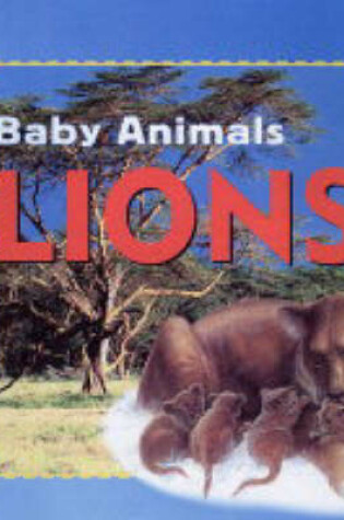 Cover of Baby Animals:Lions