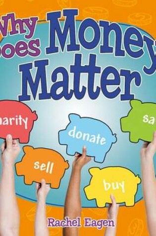 Cover of Why Does Money Matter