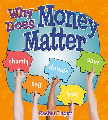 Book cover for Why Does Money Matter