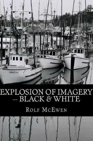 Cover of Explosion of Imagery -- Black & White