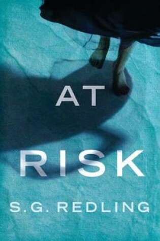 Cover of At Risk