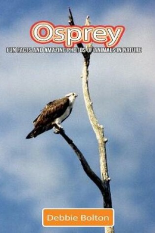 Cover of Osprey