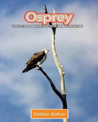 Book cover for Osprey