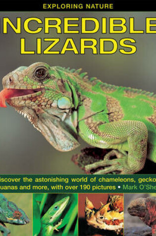 Cover of Exploring Nature: Incredible Lizards