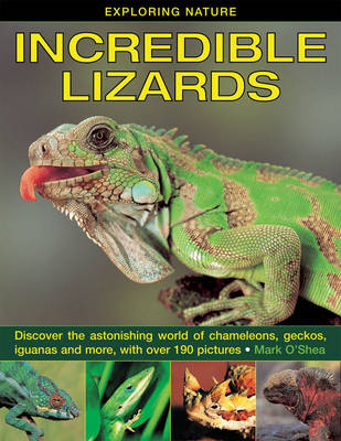 Book cover for Exploring Nature: Incredible Lizards