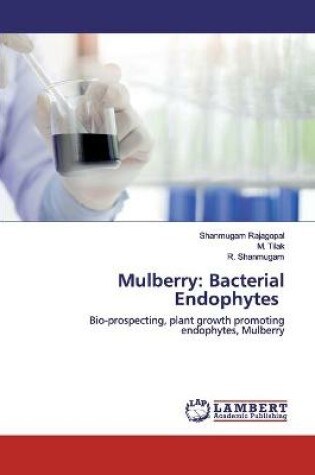 Cover of Mulberry