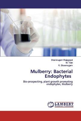 Book cover for Mulberry