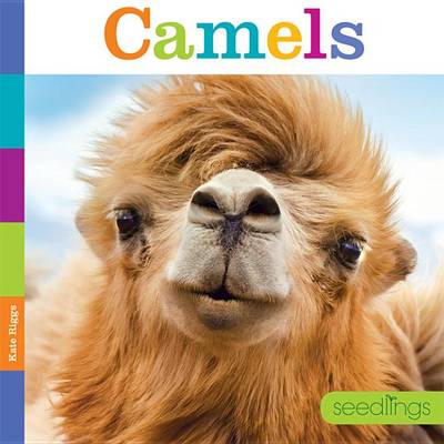 Book cover for Seedlings Camels