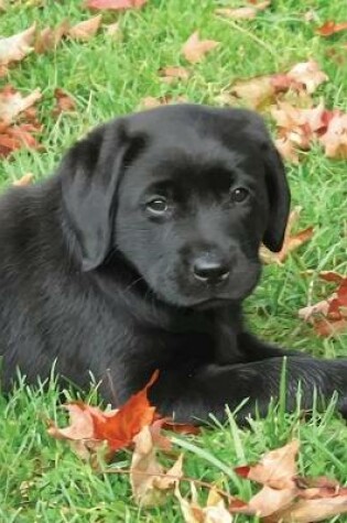 Cover of Black Lab Puppy Planner