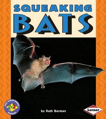 Book cover for Squeaking Bats