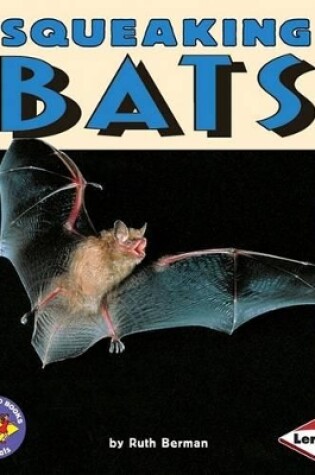 Cover of Squeaking Bats