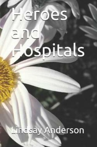 Cover of Heroes and Hospitals