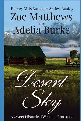 Book cover for Desert Sky