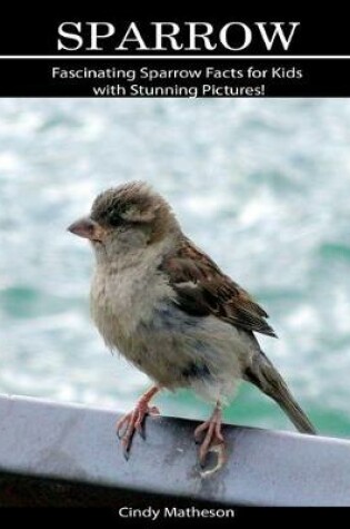 Cover of Sparrow