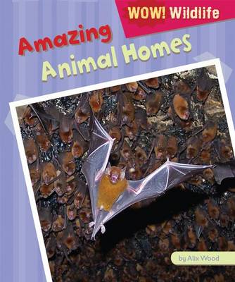 Book cover for Amazing Animal Homes