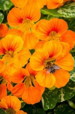 Cover of Nasturtium Gardening Journal