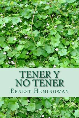 Book cover for Tener y No Tener