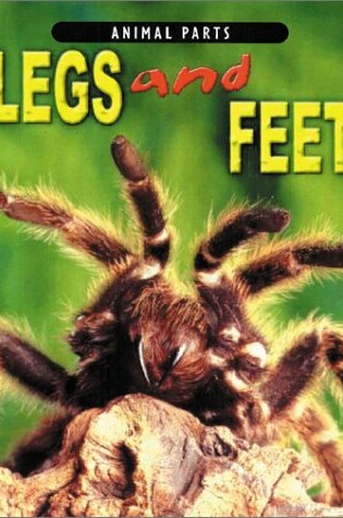 Cover of Legs and Feet