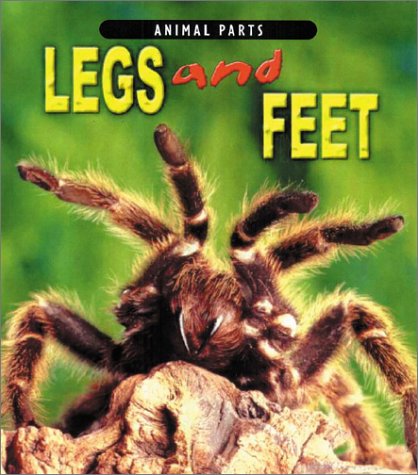 Book cover for Legs and Feet