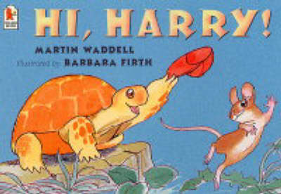 Book cover for Hi Harry!