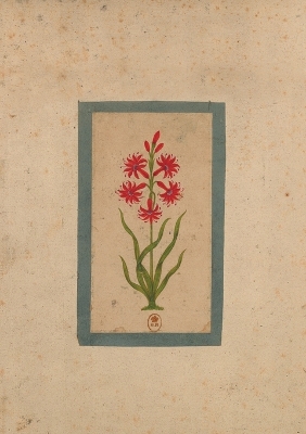 Book cover for Carnet Lign� Fleur 1, Miniature Indienne 18e Si�cle