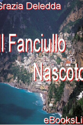 Cover of Il Fanciullo Nascoto