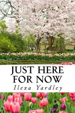 Cover of Just Here For Now