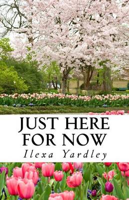 Book cover for Just Here For Now