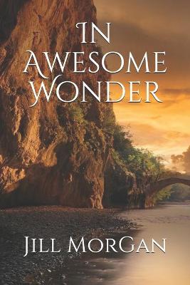 Book cover for In Awesome Wonder